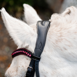 Horseware Ireland Pony Diamante Flash Bridle #colour_black-pink