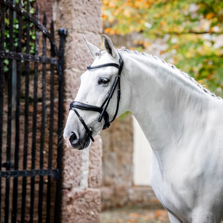 Horseware Ireland Dressage Flash Bridle #colour_black