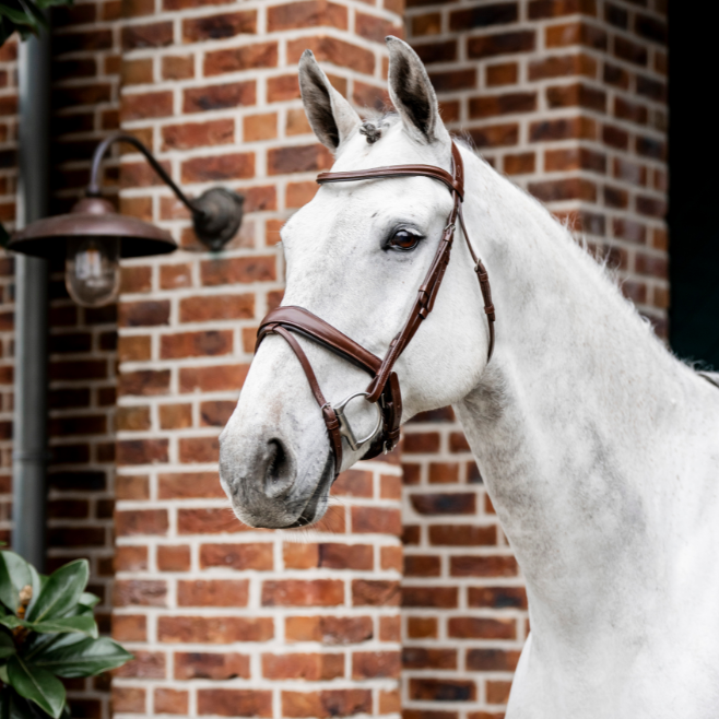 Horseware Ireland Dressage Flash Bridle #colour_brown