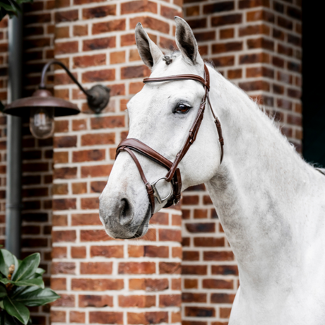 Horseware Ireland Dressage Flash Bridle #colour_brown