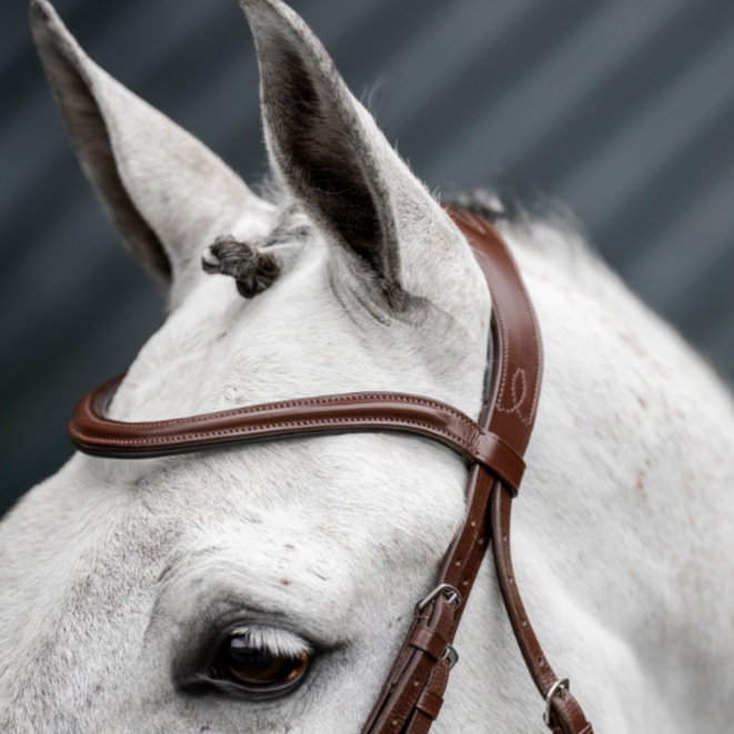 Horseware Ireland Dressage Flash Bridle #colour_brown