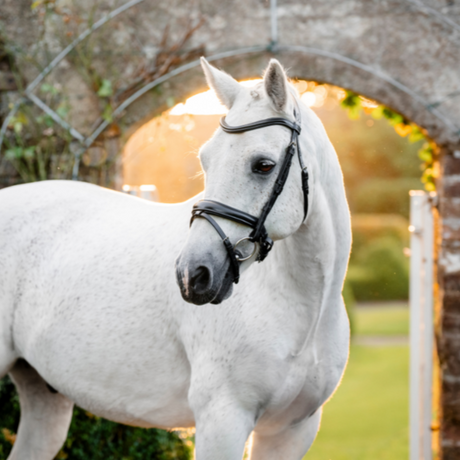 Horseware Ireland Pony Flash Bridle #colour_black