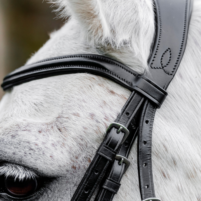 Horseware Ireland Pony Flash Bridle #colour_black