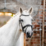 Horseware Ireland Pony Flash Bridle #colour_black