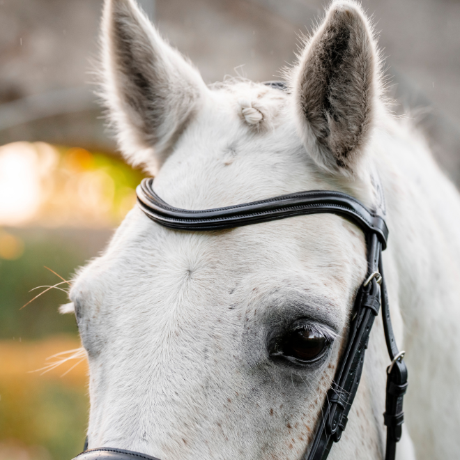 Horseware Ireland Pony Flash Bridle #colour_black