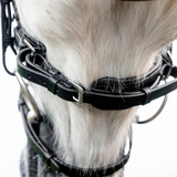 Horseware Ireland Pony Flash Bridle #colour_black