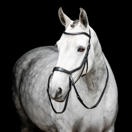 Horseware Ireland Micklem Bitless Bridle #colour_black