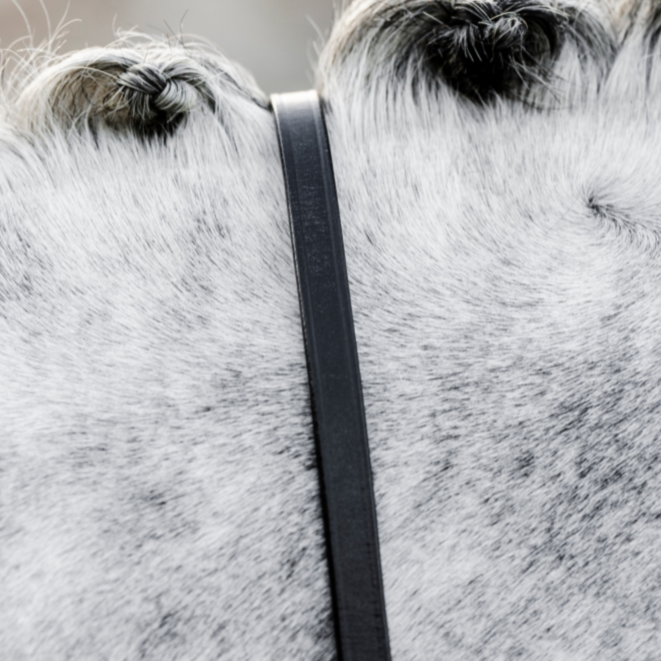 Horseware Ireland Curb Reins #colour_black