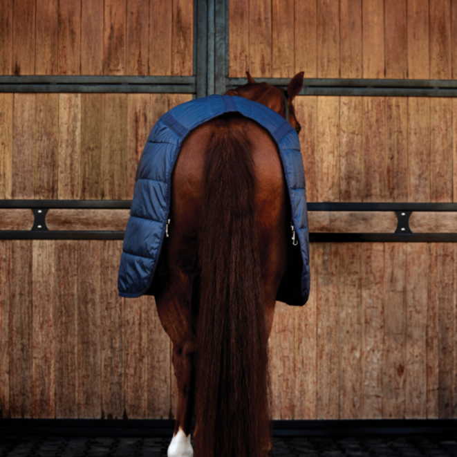 Weatherbeeta Comfitec 100G Thermi-Heat Liner #colour_navy