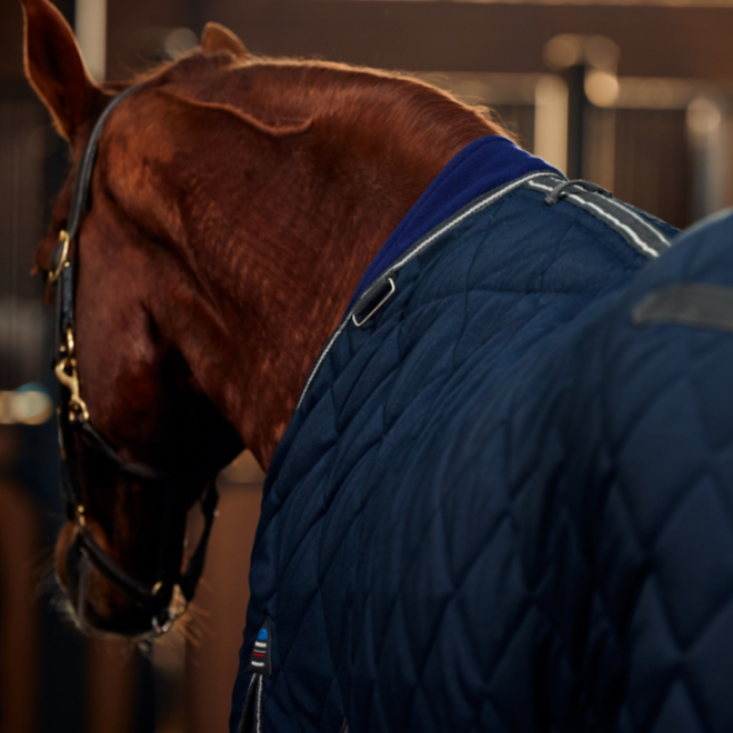 Weatherbeeta Comfitec 1000D Diamond Quilt 220G Detach-A-Neck Stable Rug #colour_navy-charcoal