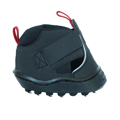 Equine Fusion Trekking Shoe #colour_black