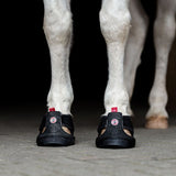 Equine Fusion Trekking Shoe #colour_black