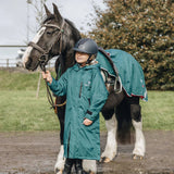 EQUIDRY Exercise Sheet Thick #colour_teal-peacock-pink