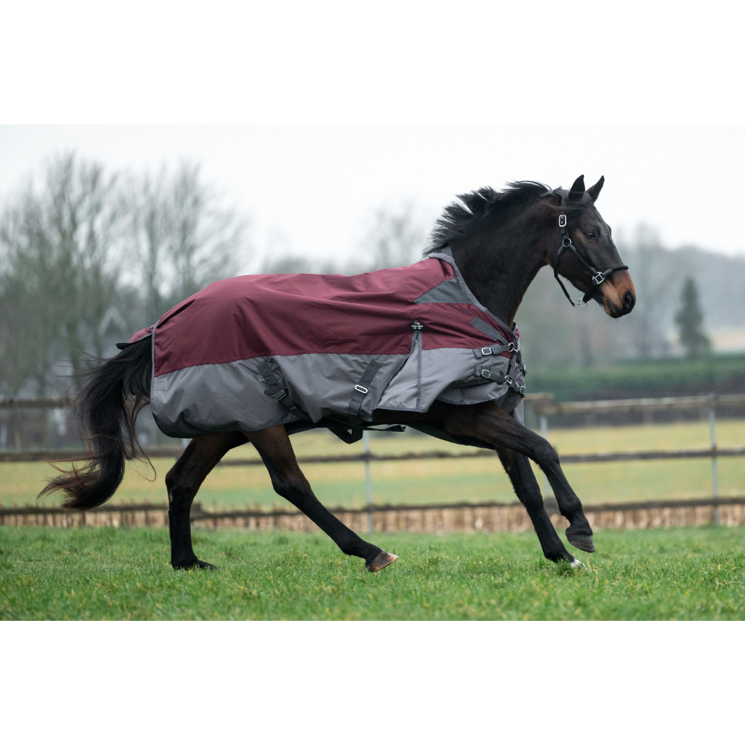 HKM 600D 100g High Neck Turnout Rug -Yukon- #colour_darkred-grey 