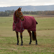 Weatherbeeta Comfitec Prelim 0G Combo Turnout #colour_burgundy-navy