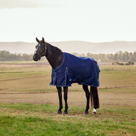 Weatherbeeta Comfitec Prelim 220G Turnout #colour_navy-embossed-plaid