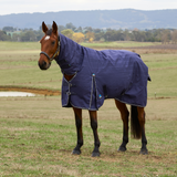 Weatherbeeta Comfitec Prelim 220G Combo Turnout #colour-navy-embossed-plaid