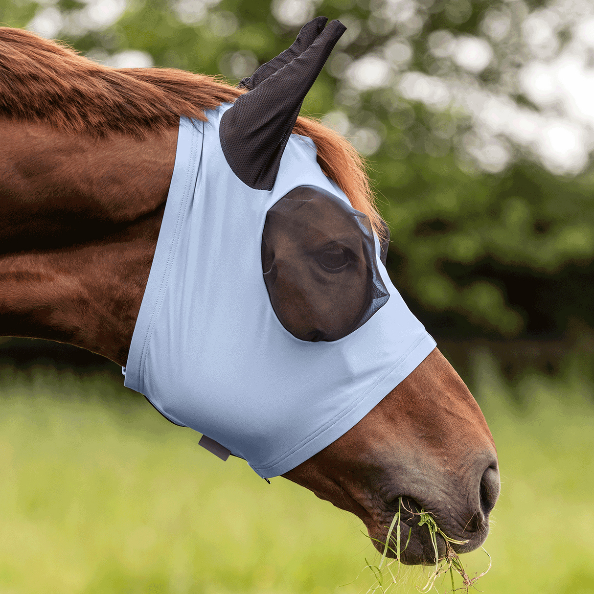 Waldhausen Puck Fly Mask