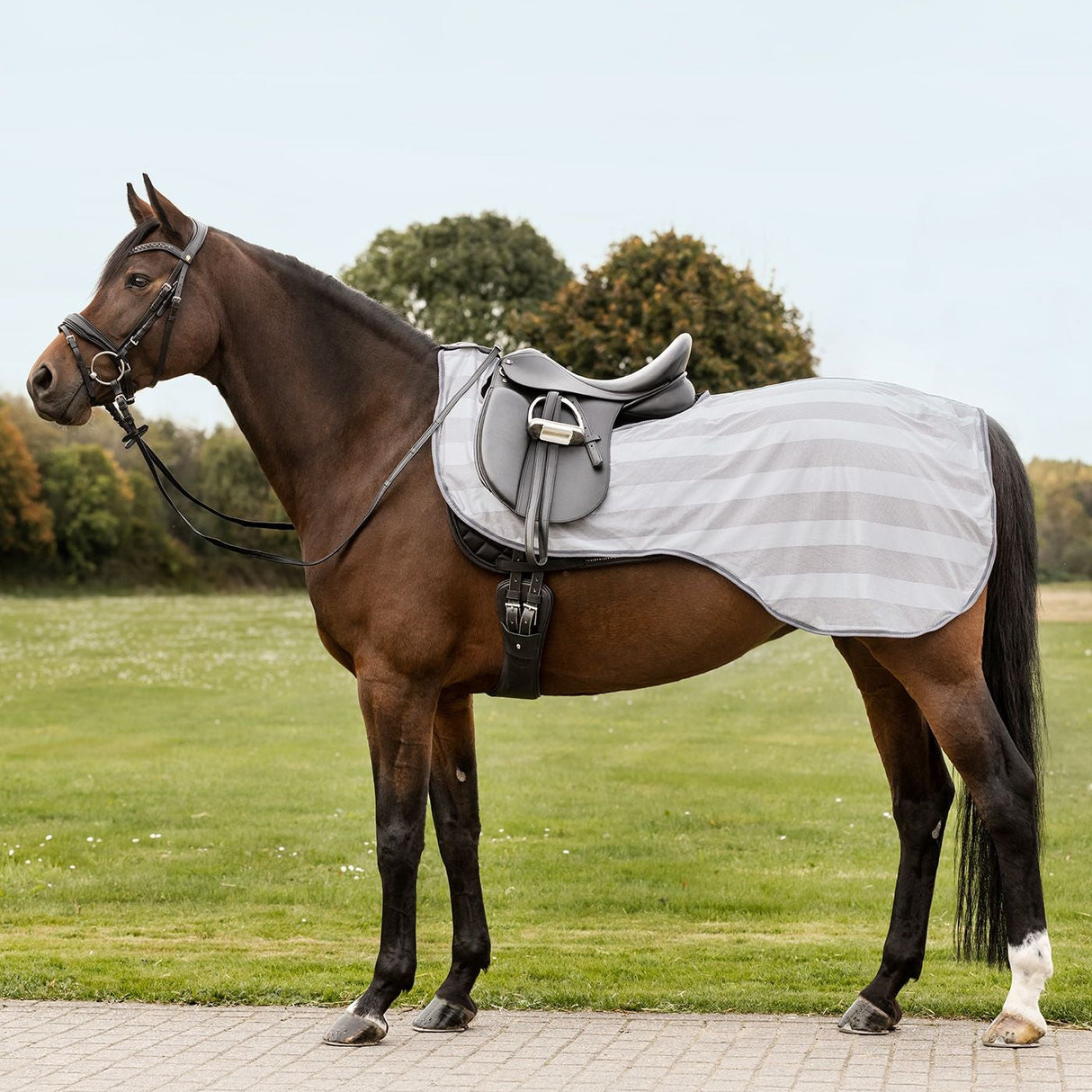 Waldhausen Economic Fly-Exercise Sheet #colour_silver-grey