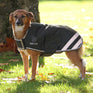 Manteau imperméable pour chien Shires Digby &amp; Fox 