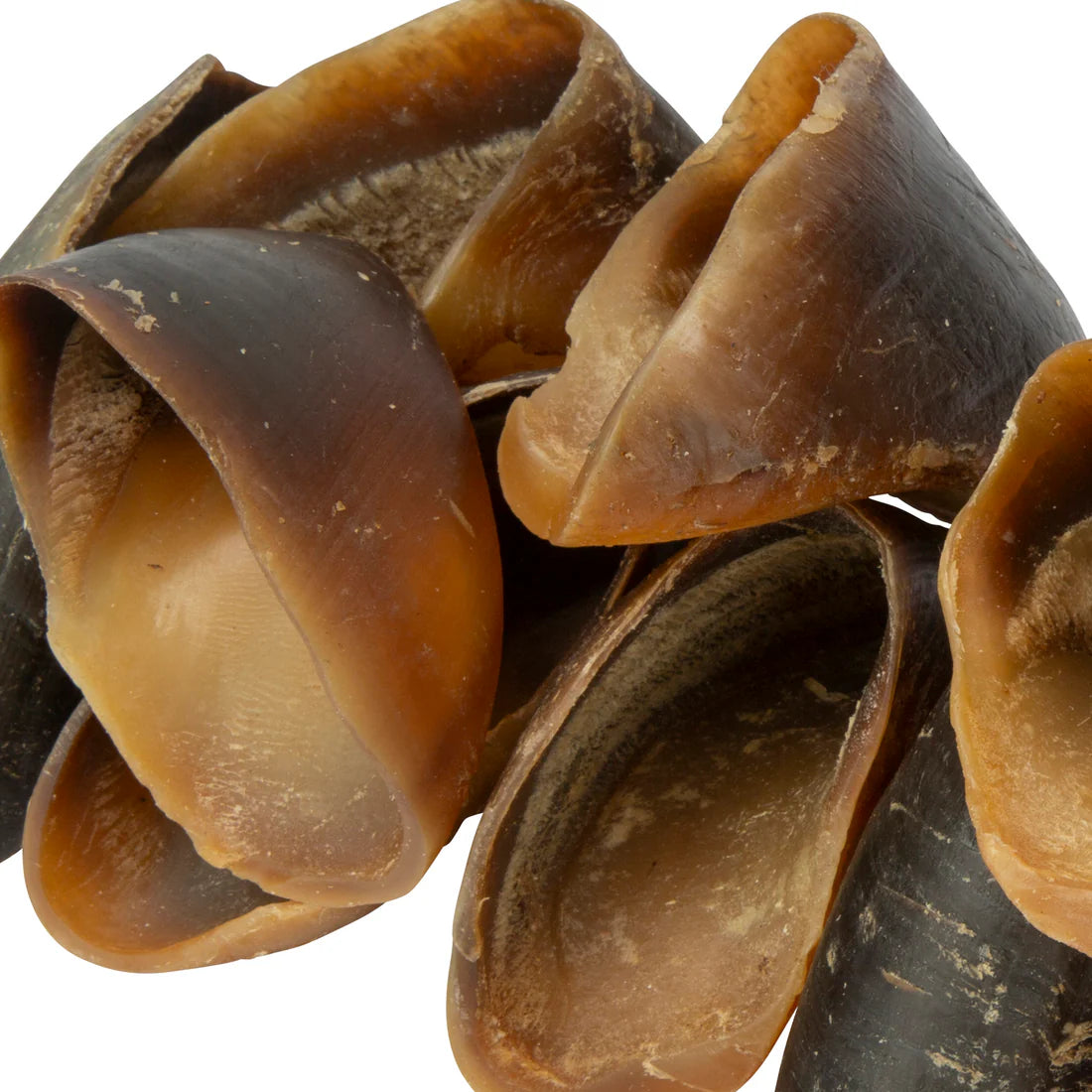 Shires Digby & Fox Buffalo Hoof