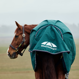 Weatherbeeta Comfitec Plus Dynamic 220G High Neck Turnout #colour_forest-green-navy