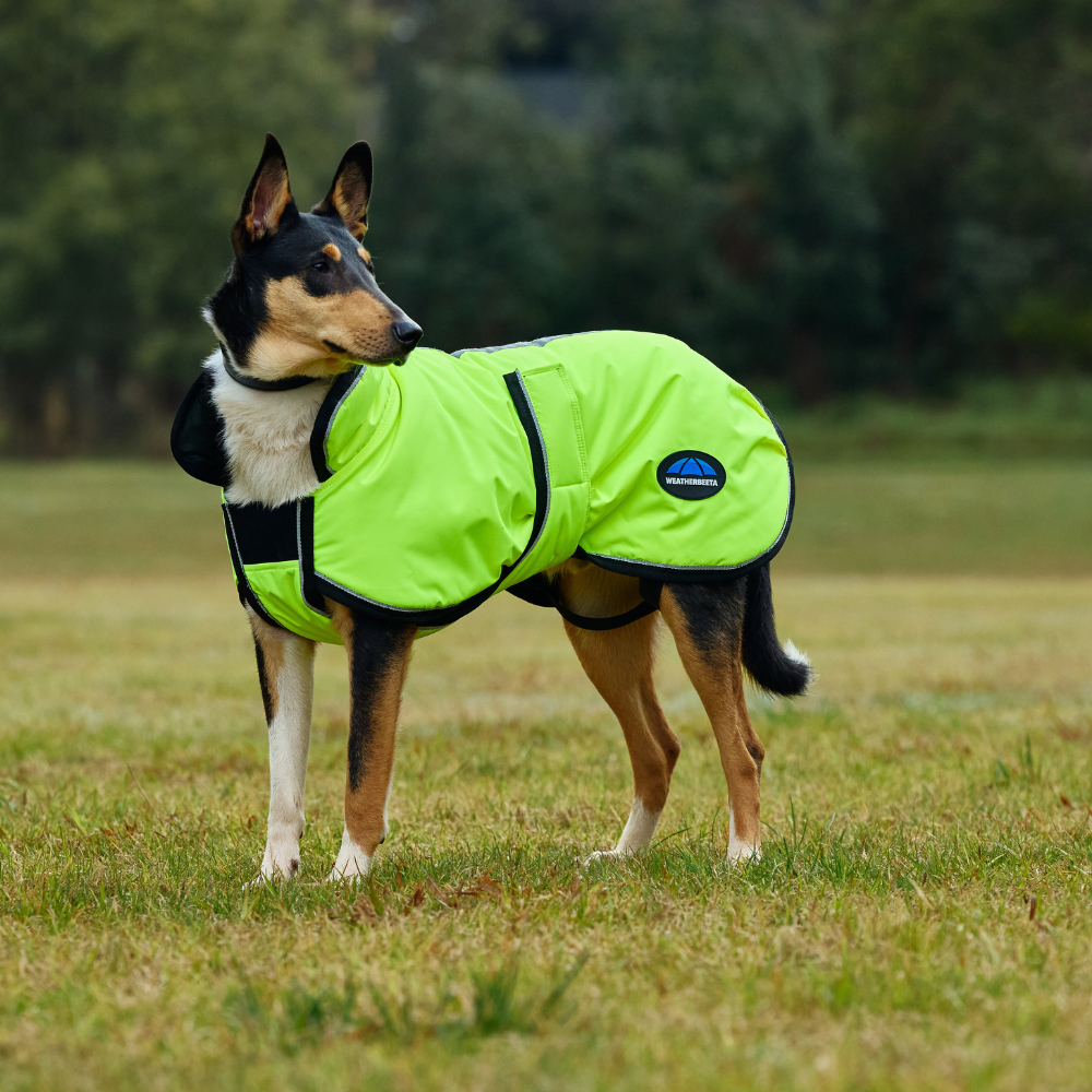 Weatherbeeta Comfitec Reflective 300D Deluxe Showerproof Dog Coat #colour_yellow