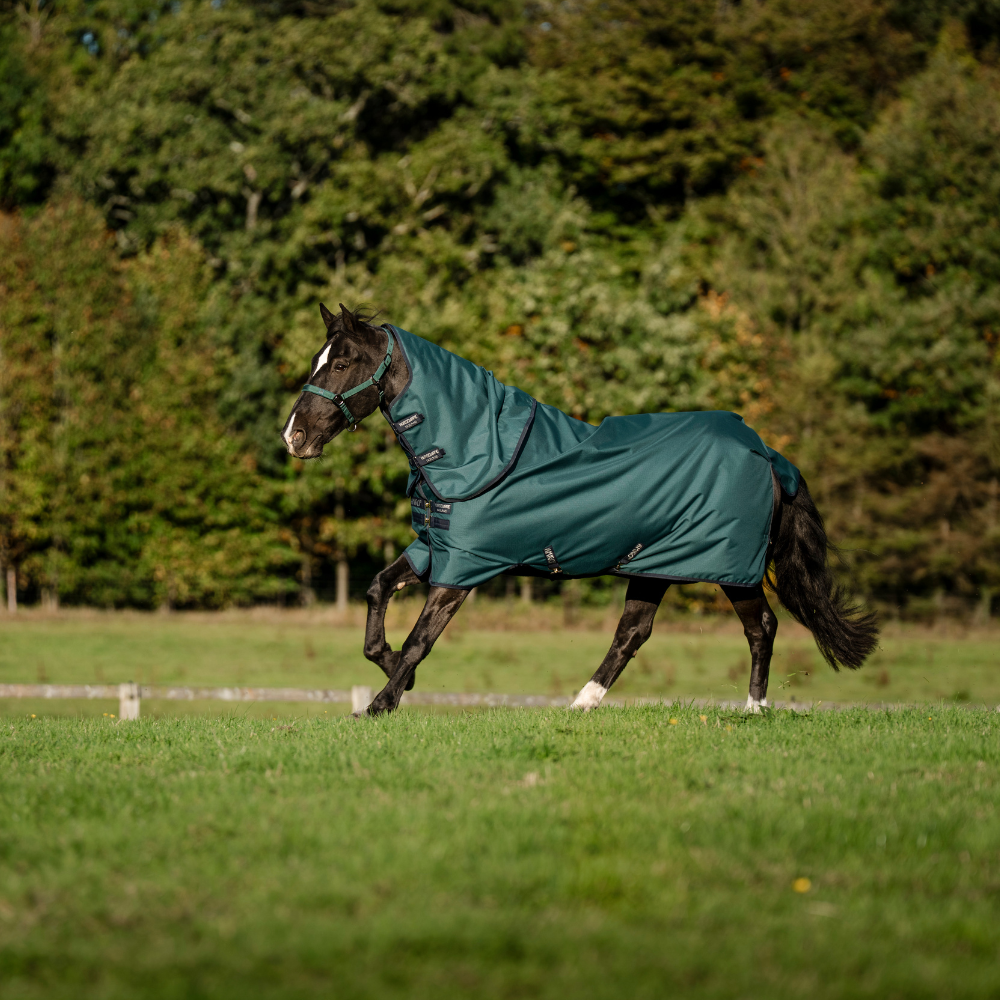 Horseware Ireland Amigo Ripstop 900 Plus 100g #colour_dynasty-green-navy-silver