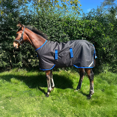 Horseware Ireland Amigo Ripstop 900D 200g Foal Turnout Rug #colour_black-classic-blue