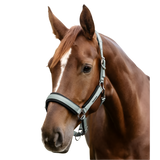 Waldhausen Soft Touch Halter #colour_silver-blue