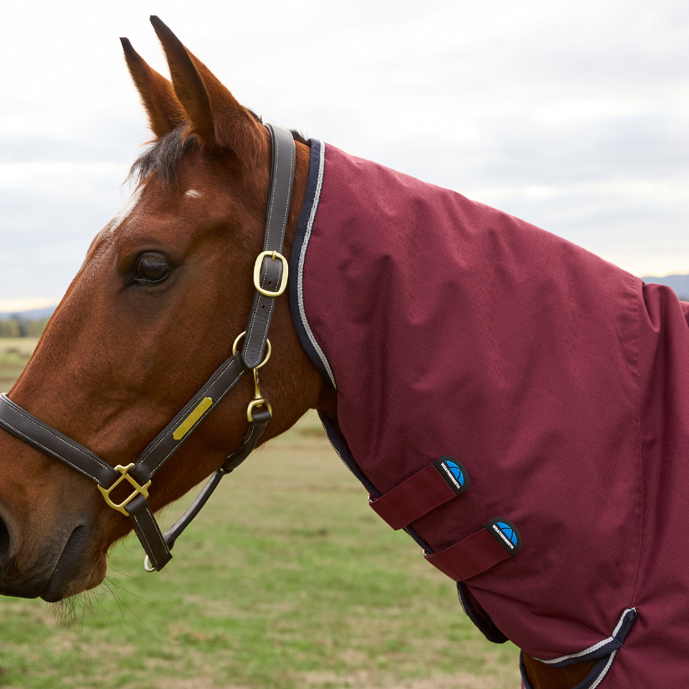 Weatherbeeta Comfitec Prelim 0G Combo Turnout #colour_burgundy-navy