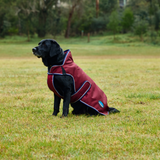 Weatherbeeta Comfitec Premier Deluxe Waterproof Dog Coat #colour_burgundy-navy
