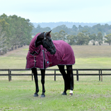 Weatherbeeta Comfitec Essential 220G Combo Turnout #colour_burgundy-navy