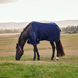 Weatherbeeta Comfitec Prelim 220G Turnout #colour_navy-embossed-plaid