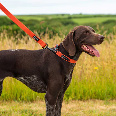 Mountain Paws Extra Tough Dog Lead #colour_orange