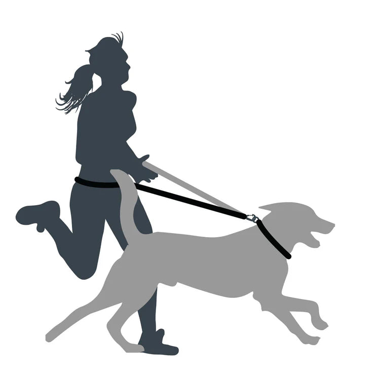 Mountain Paws Shock Absorber Dog Lead 