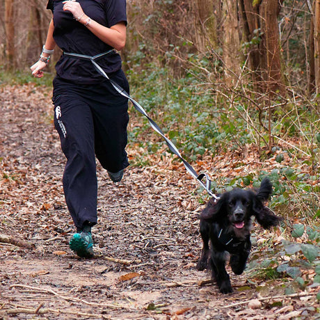 Mountain Paws Shock Absorber Dog Lead #colour_black