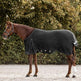 Waldhausen Scandic 100g Turnout Rug #colour_black