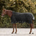 Waldhausen Scandic High Neck 200g Turnout Rug #colour_black