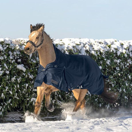 Waldhausen Scandic High Neck Light Turnout Rug #colour_night-blue