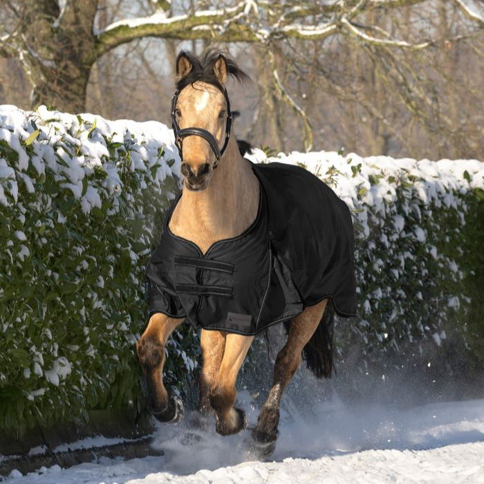 Waldhausen Arctic 200g Turnout Rug #colour_black