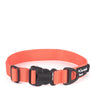 Mountain Paws Extra Tough Dog Collar #colour_orange