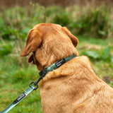 Mountain Paws Waterproof Dog Collar #colour_green