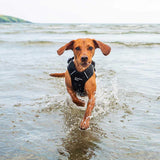 Mountain Paws Dog Harness #colour_black