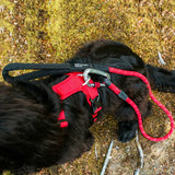 Mountain Paws Dog Harness #colour_red