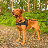 Mountain Paws Extra Tough Dog Harness #colour_black