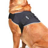 Mountain Paws Extra Tough Dog Harness #colour_black