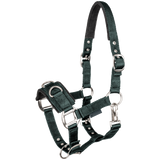 STAR Economic Lunging Halter #colour_fir-green