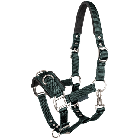 STAR Economic Lunging Halter #colour_fir-green