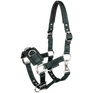 STAR Economic Lunging Halter #colour_fir-green